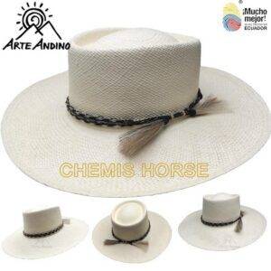 Chemis Horse